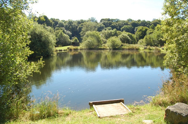 trout-fishing-lake-devon-9