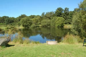 trout-fishing-lake-tavistock-devon-14