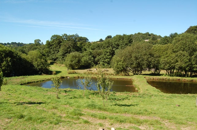trout-fishing-lake-tavistock-devon-15