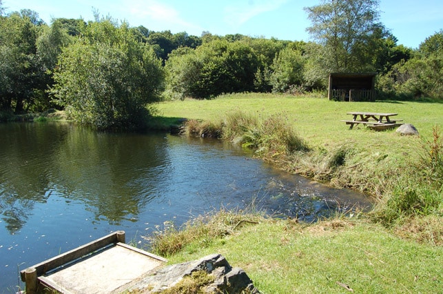trout-fishing-lake-tavistock-devon-2