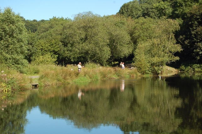 trout-fishing-lake-tavistock-devon-3