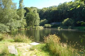 trout-fishing-lake-tavistock-devon-4
